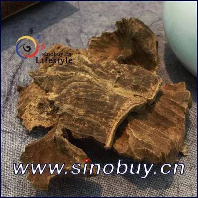 莞香中有野生的吗？_搜狐网