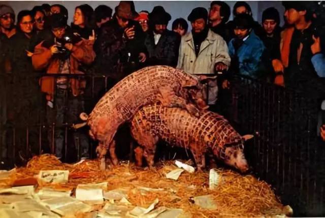 1993年底,徐冰构想了一件以猪为角色的观念作品,他与北京一家良种猪场