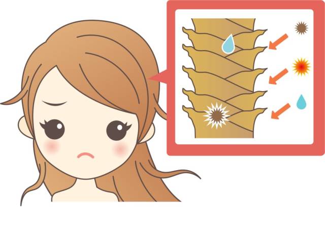 这才是夏日打理头发最舒适的方式
