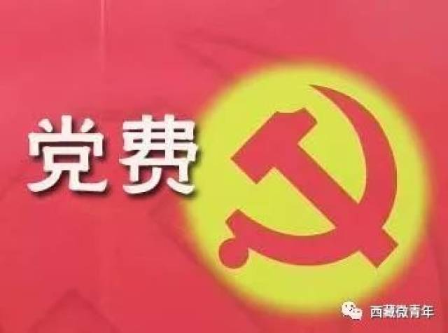 党费到底该如何用?权威解答来了