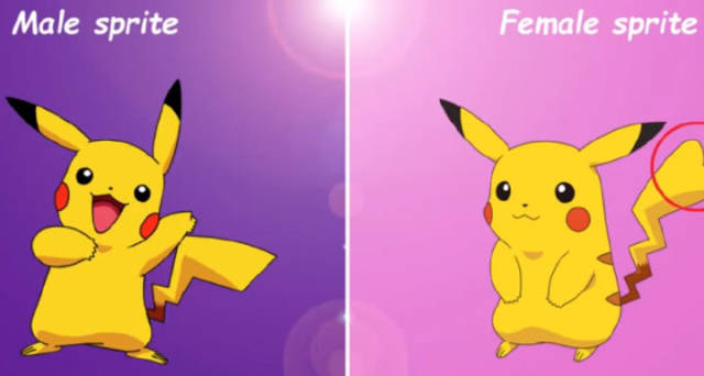 皮卡丘是有性别差异的神奇宝贝,所以自然在外形上,是有差异的.