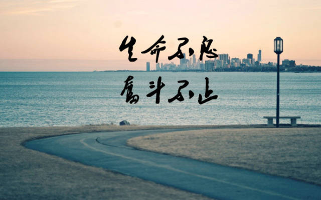 此文献给默默奋斗为理想而改变的草根家族们