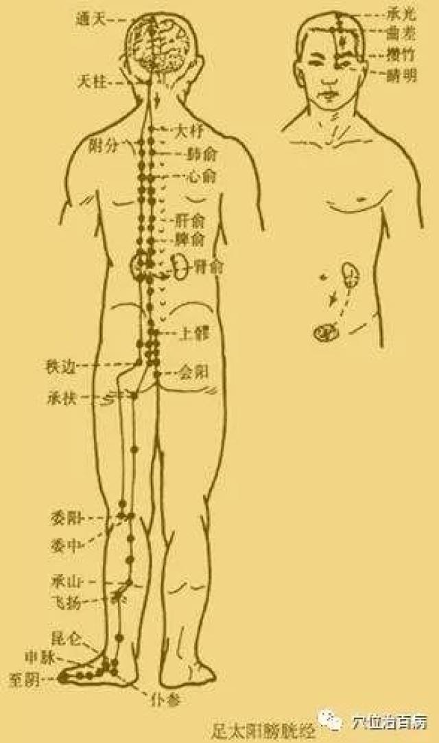 三伏天敲打膀胱經