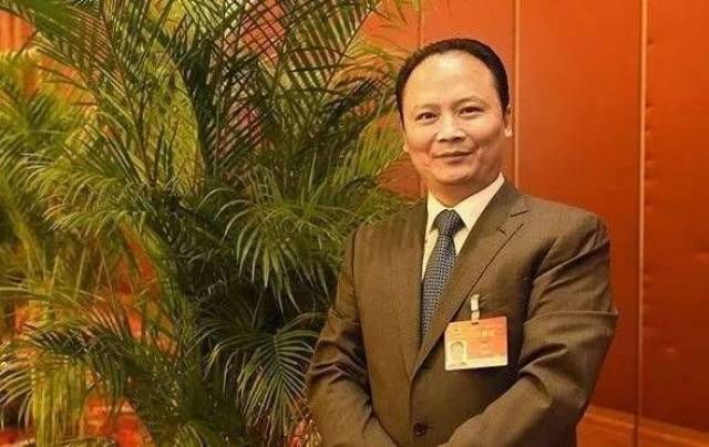 乐山的首富是贺正刚,出生在湖南,现居住在四川乐山,和邦集团董事长.