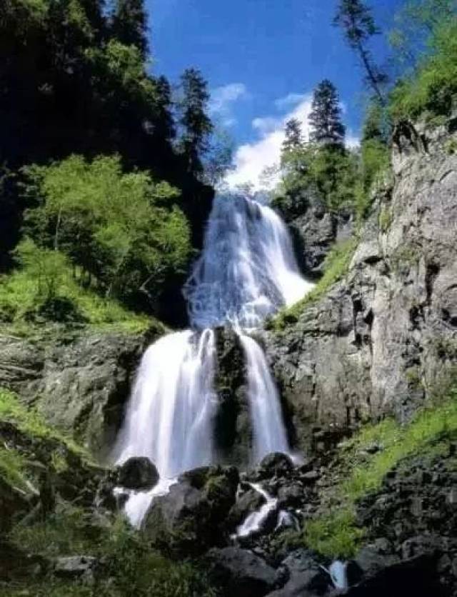 地保留了长白山的原始风貌,有漫山花海的高山花园,有深邃清冽的梯子河