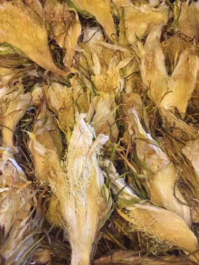 炖汤佳品——霸王花(火龙果干花)