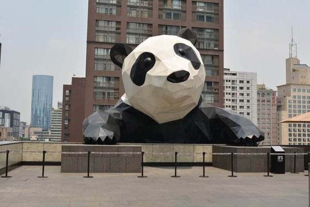 重达13吨的成都网红"爬墙熊猫",洗澡要用5个早晨