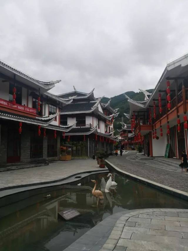 社会实践 | 南望龙马风情&驭马乘龙联合纵队赴湖北恩施龙马村进行产业