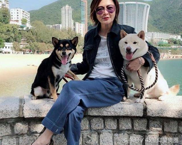 14位香港明星今年购豪宅,缴税都要2000万,他们