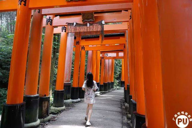 《艺伎回忆录》中小千代跑过的红色鸟居 一直让小编对这里心心念念