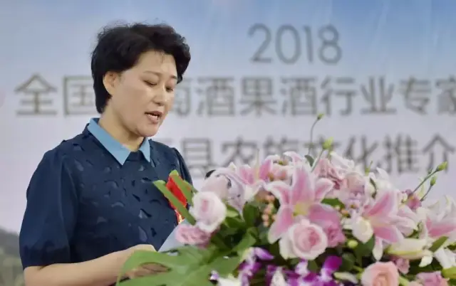 夏县县委副书记苏丽红主持开幕式