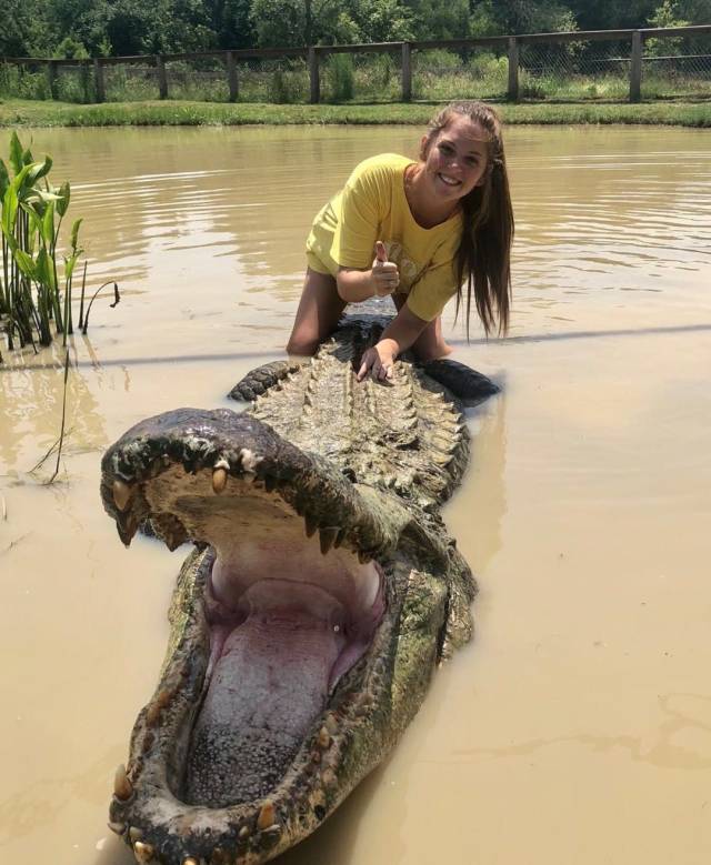"美女与野兽":美国女生与巨鳄合拍毕业照