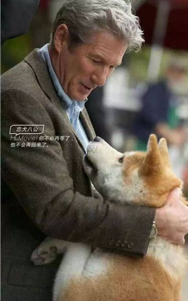 同样都是养狗这只狗狗竟然干出这种事主人好想昏古起