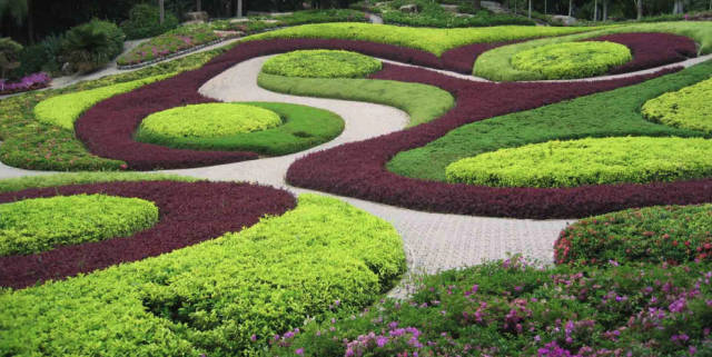 豆型模纹 4,丘山花园  规划面积:本区区规划面积约为16.09亩.