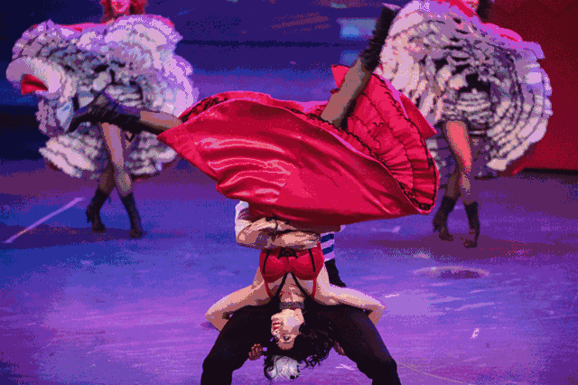 巴西狂欢节,法国红磨坊…29.9元在哈尔滨看遍!| 抢票看这