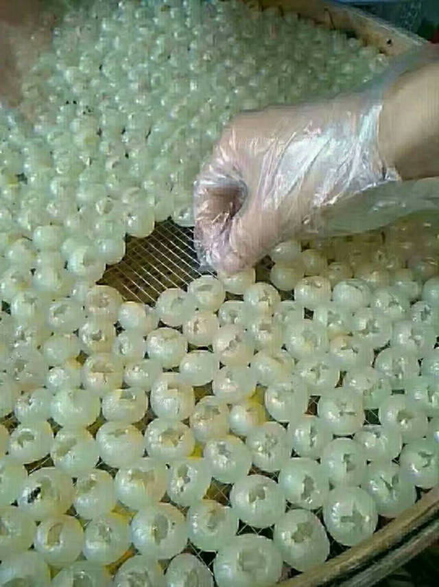 手艺的传承,古法晒制桂圆肉,凝聚着一位78岁老人的精湛的工艺