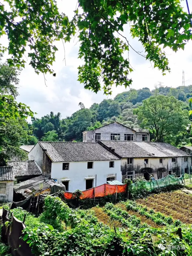 走桐岭古道,登太平山顶