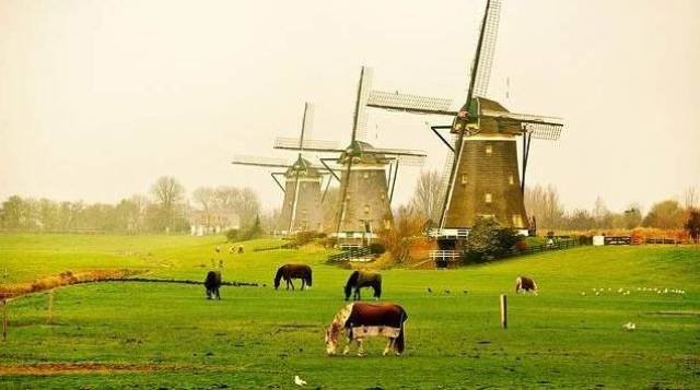 欧洲各国留学费用大汇总!哪国性价比最高一看