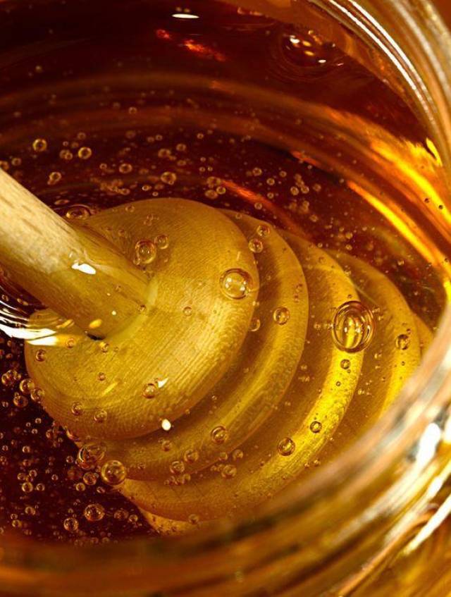 蜂蜜不能和什么在一起吃会死人(蜂蜜不能和什么在一起吃会死人呢)