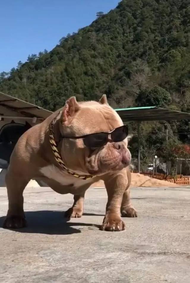 手机搜狐网