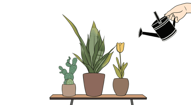 640_354gif 动态图 动图