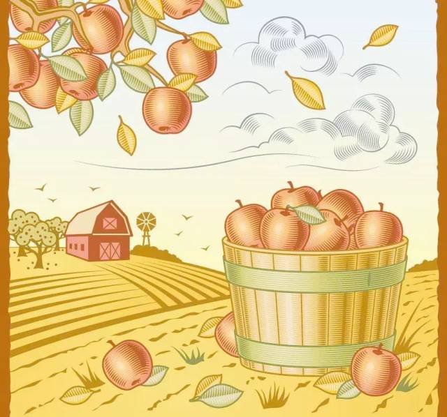 周末双集逛市集听绘本做手工逛移动书店