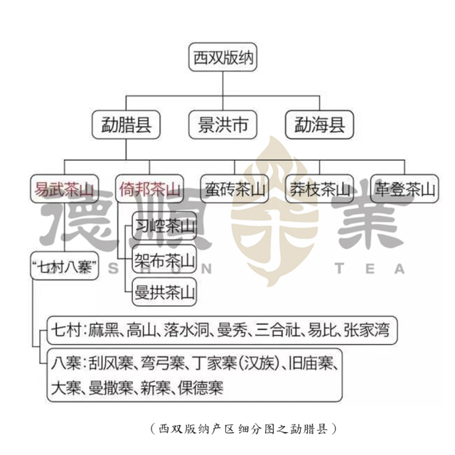 版纳产区之勐腊县
