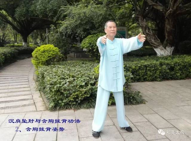 【陈雄聊太极拳95】含胸拔背与沉肩坠肘的练法