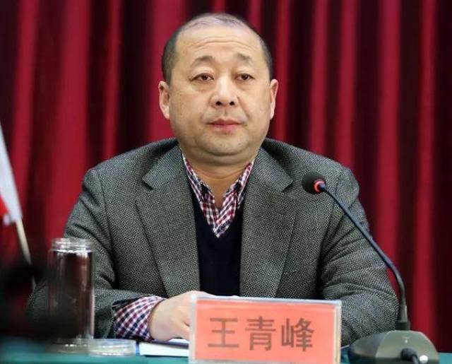 没错,他就是王青峰,6年后出任长安区委书记的王青峰.