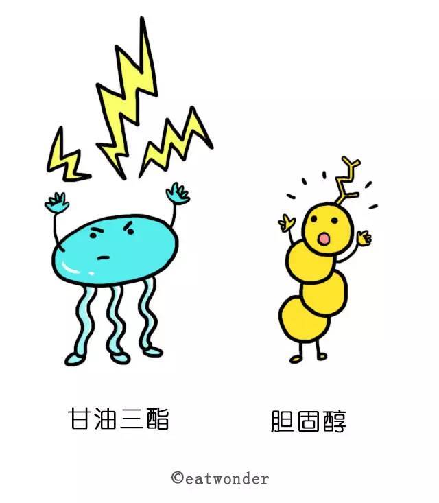 30张图的科普,告诉你胆固醇到底是什么,为什么它是朋友而不是敌人