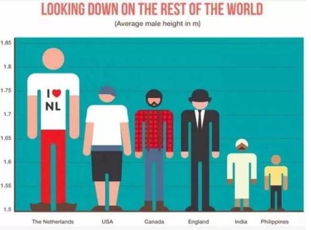 荷兰男性的平均身高为183cm,荷兰女性的平均身高为170cm,也是世界上