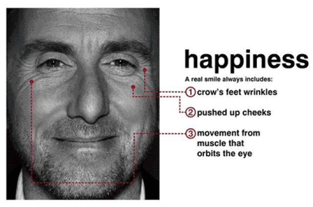 揭秘:猫咪微表情如何让你1秒读懂猫心?