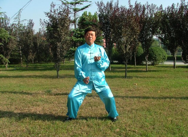 混元桩功,太极混元桩,混元(第5页)_大山谷图库