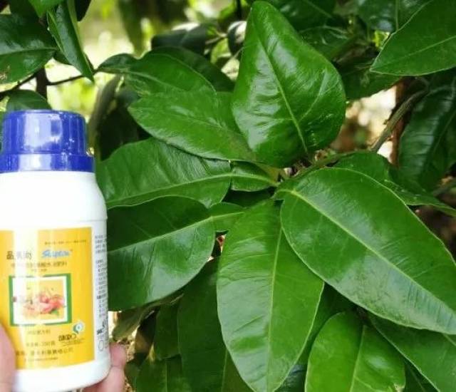 1,克菌丹与枯草芽孢杆菌混配,能够显著防治作物重茬连作病害;2,申嗪