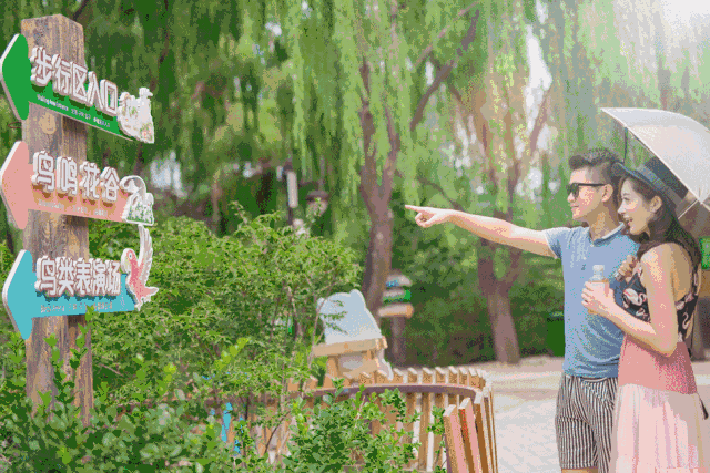 情人节约会济野 为你省钱