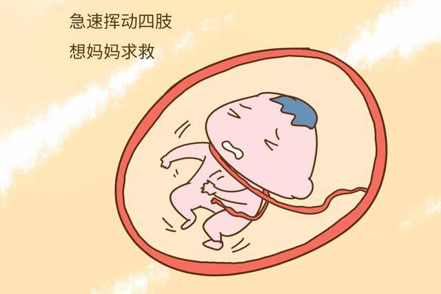 怀孕多久会有胎动 搜狐网