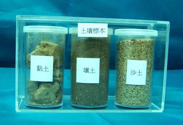 沙土粘土壤土的特点,沙土和粘土有什么特点,粘土_大山谷图库