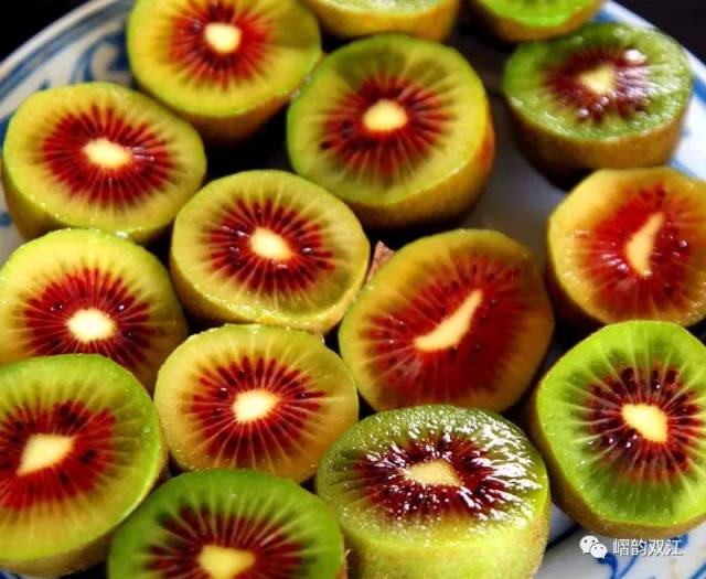 八月易门栗飘香