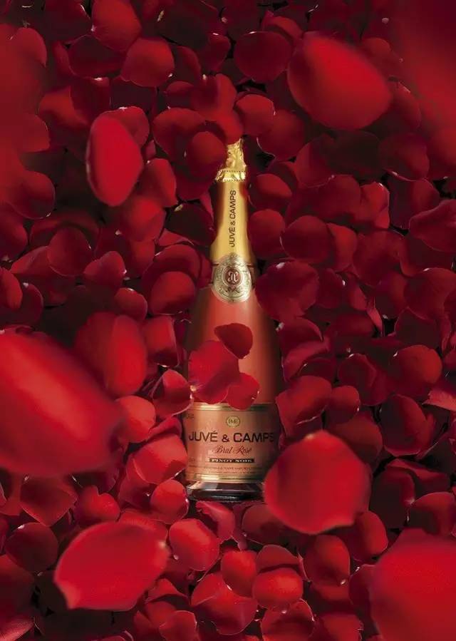 roca estudio是一家著名的西班牙广告创意摄影公司,作品