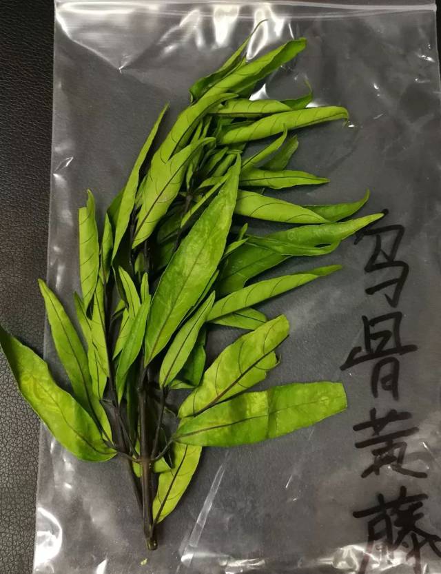 【收藏】最全潮汕地区常见青草药实拍照片及属性对照表(护堤路郭波