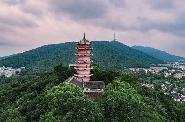 佛系少女吃喝指南丨锡城这七家人气清心素菜馆在此!