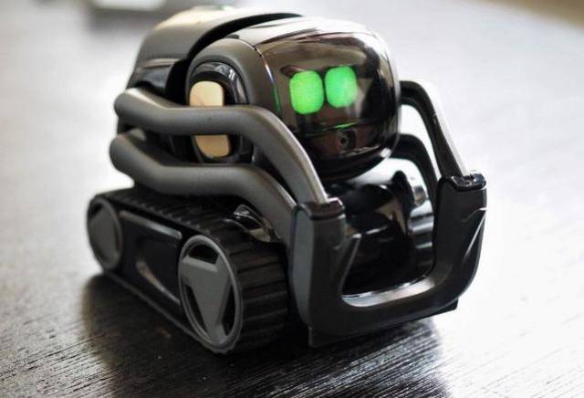 聊天机器人vector来了可以随时与用户进行互动