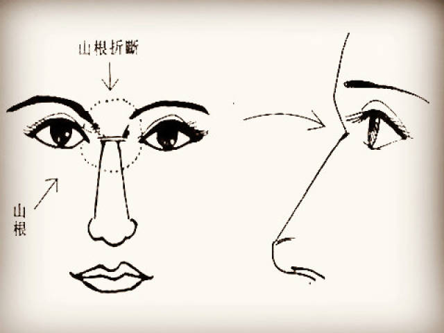 1,山根的象征含义