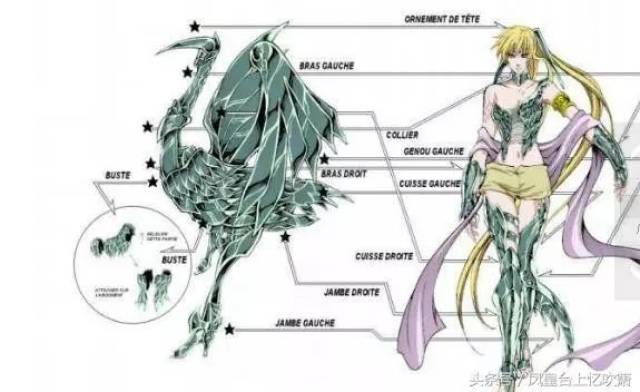 天鹤座 4,黄金圣衣