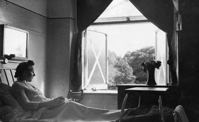 国养狗文明进步,这枚网红药到底是干什么的?