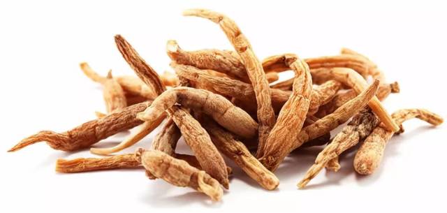 初秋进补还得吃参!人参、党参、沙参吃法