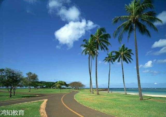 2019郑州大学会计学考研802经济管理基础考研