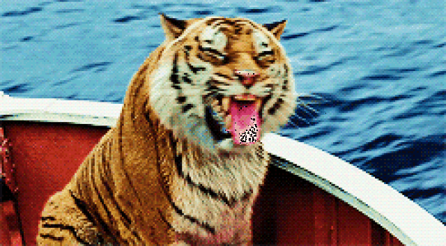 老虎搞笑动图图片