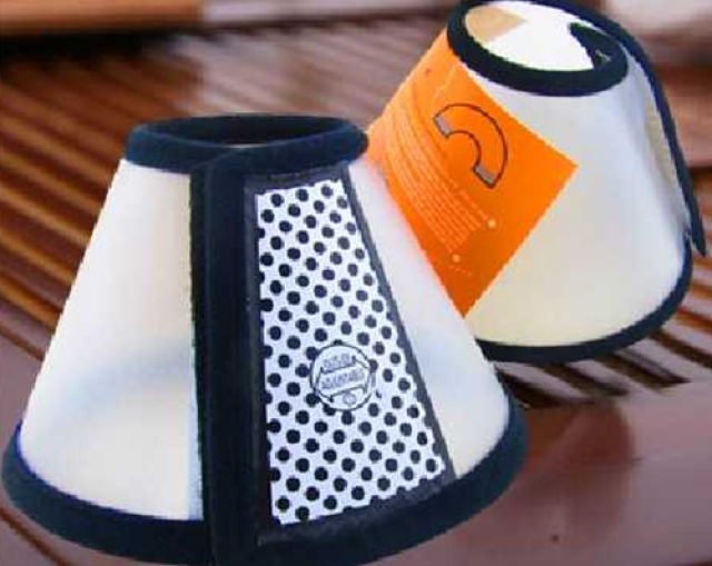 猫真菌感染舔得到尾巴,猫尾巴长真菌了怎么办