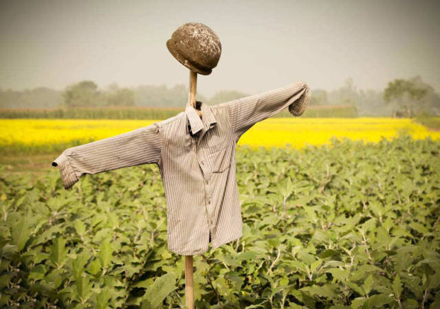 说起稻草人,大家印象中可能就是那种呆呆的由几根棍子撑起来的假人